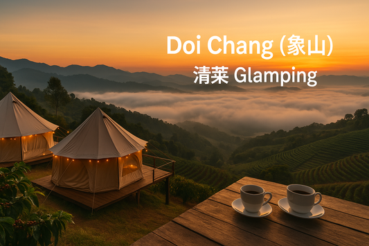 ☕️ 清萊 Doi Chang(象山)Glamping 6 選|雲海 × 咖啡山的一夜慢活