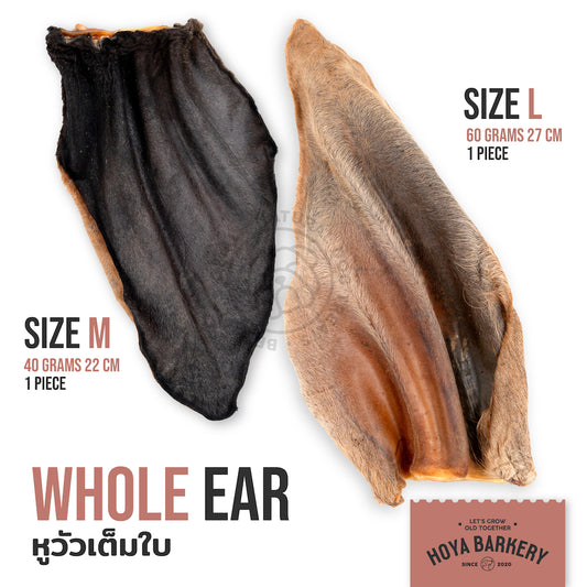 Hoya Barkery 天然牛耳咬嚼零食|碎片・整塊・牛耳條 官方產品圖片