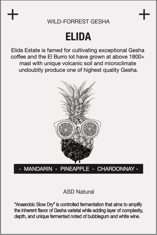 ROAST8RY Gesha Elida 咖啡豆
