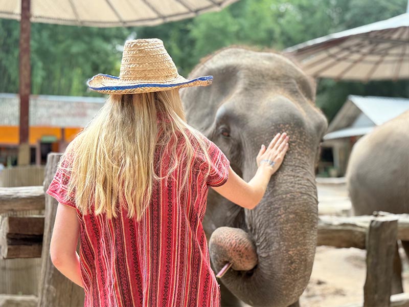 Mae Rim Elephant Home Elephant Care：參加者近距離認識大象