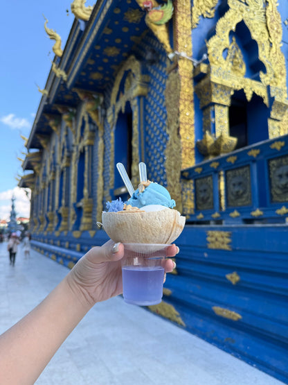 Chiang Rai Day Tour | White & Blue Temples, Lalitta Cafe, Singha Park