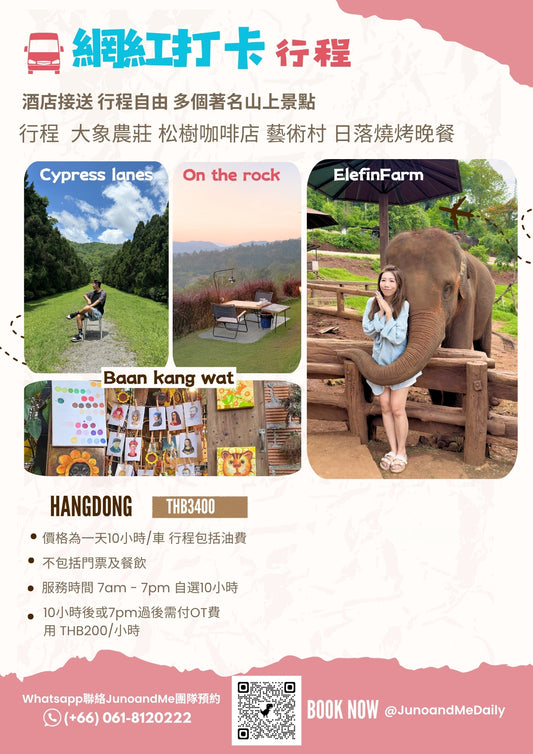 Chiang Mai to Chiang Rai one-day charter | White Temple, Blue Temple, Black Temple | 9-12 people VIP VAN including driver and gas