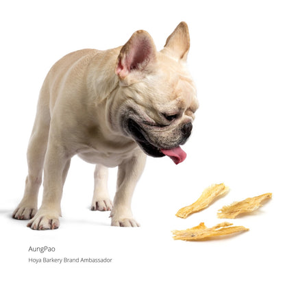 Hoya Barkery 天然羅非魚魚柳零食｜犬貓小包裝 50g｜狗狗