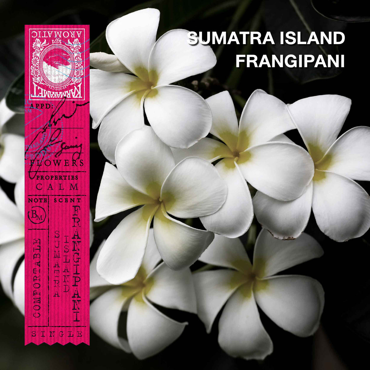 KARMAKAMET Sumatra Island Frangipani 蘇門答臘雞蛋花 官方香調示意圖（非商品包裝照片）