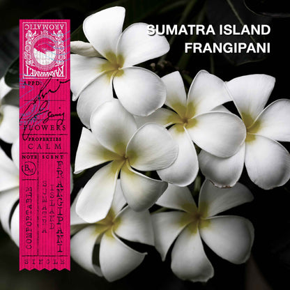 KARMAKAMET Sumatra Island Frangipani 蘇門答臘雞蛋花 官方香調示意圖（非商品包裝照片）