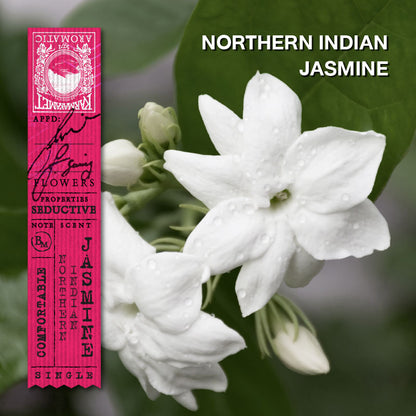 KARMAKAMET Northern Indian Jasmine 北印度茉莉 官方香調示意圖（非商品包裝照片）