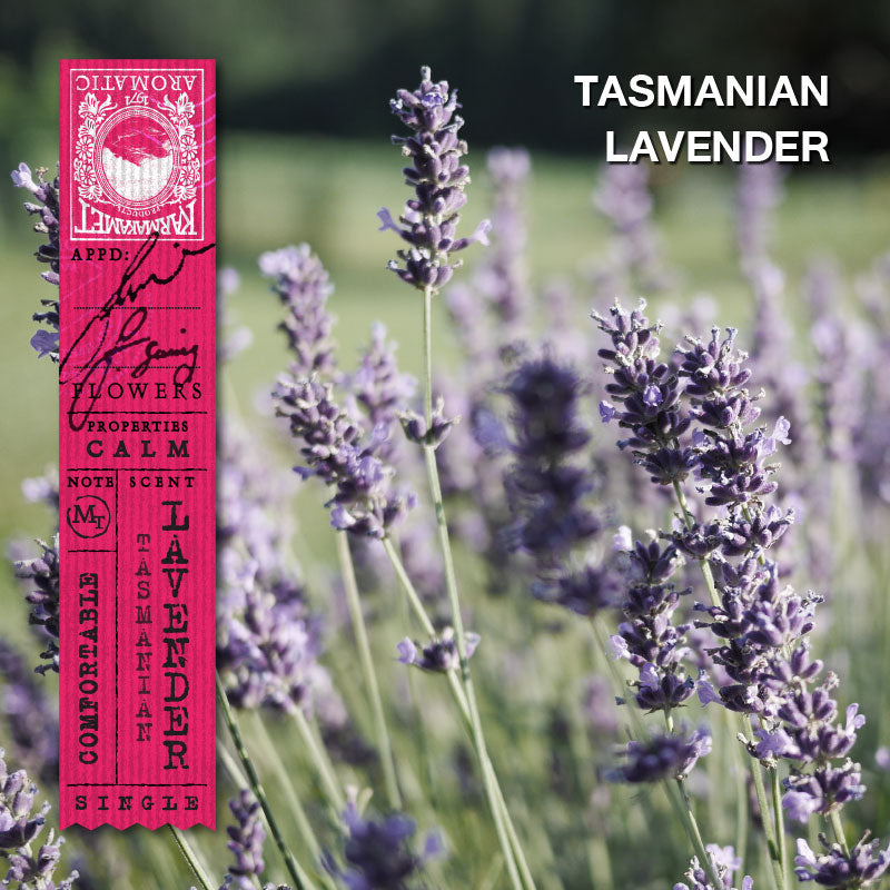 KARMAKAMET Tasmanian Lavender 塔斯曼尼亞薰衣草 官方香調示意圖（非商品包裝照片）
