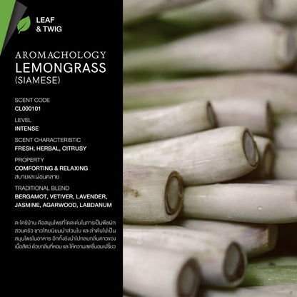 KARMAKAMET Siamese Lemongrass 暹羅香茅 官方香調示意圖（非商品包裝照片）