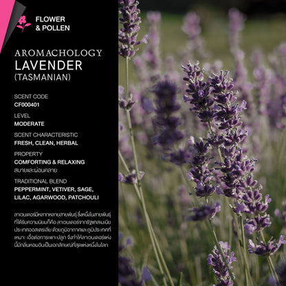 KARMAKAMET Tasmanian Lavender 塔斯曼尼亞薰衣草 官方香調示意圖（非商品包裝照片）