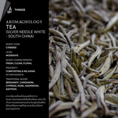KARMAKAMET Silver Needle White Tea 銀針白茶 官方香調示意圖（非商品包裝照片）