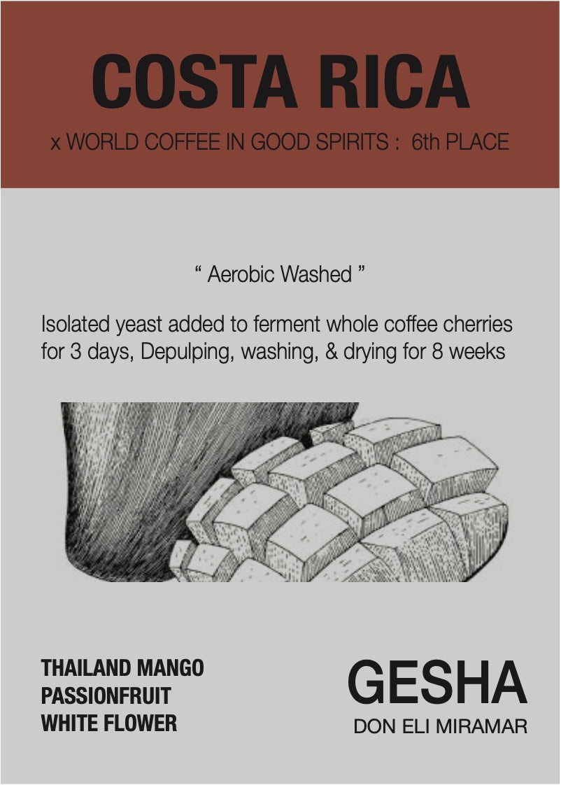 ROAST8RY Costa Rica Gesha 咖啡豆