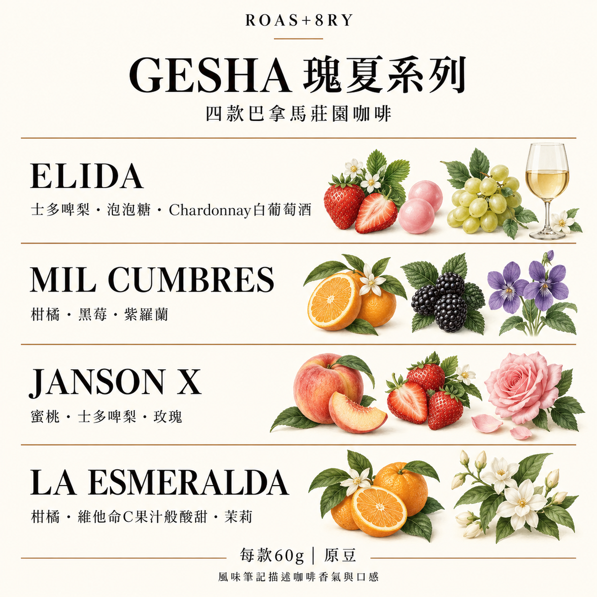 ROAS+8RY｜Gesha 瑰夏咖啡豆 系列豆款、風味及重量介紹