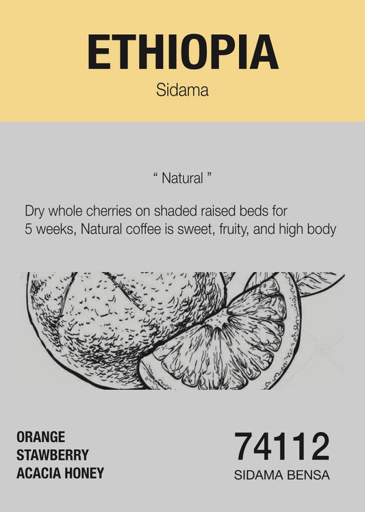 ROAST8RY Ethiopia 咖啡豆