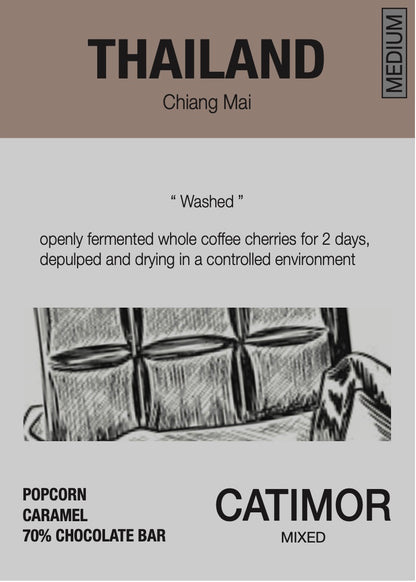 ROAST8RY Thailand 咖啡豆