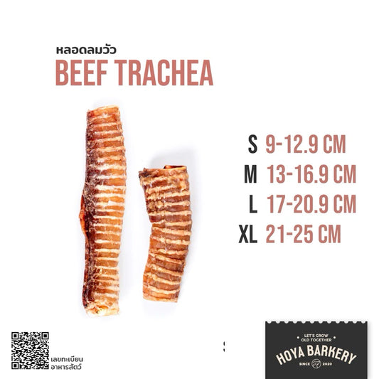 Hoya Barkery 天然牛氣管咬嚼棒 🐮｜狗狗潔齒磨牙零食｜高蛋白無添加｜中大型犬適用