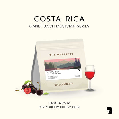 The Baristro Costa Rica Canet Bach Musician Series