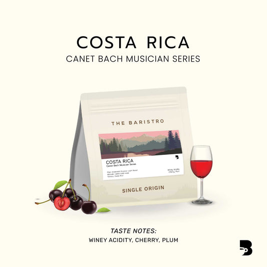 The Baristro Costa Rica Canet Bach Musician Series