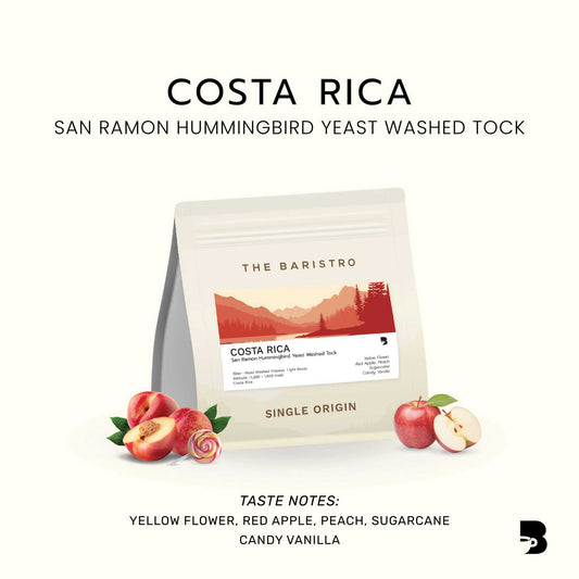 The Baristro เมล็ดกาแฟ คั่วอ่อน - Costa Rica San Ramon Hummingbird